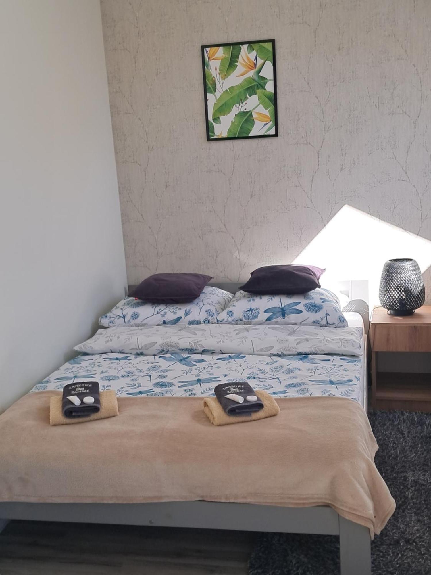 Appartement Zamkowe Zacisze à Czorsztyn Extérieur photo